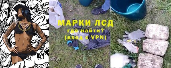 apvp Белокуриха