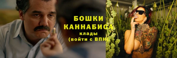 apvp Белокуриха