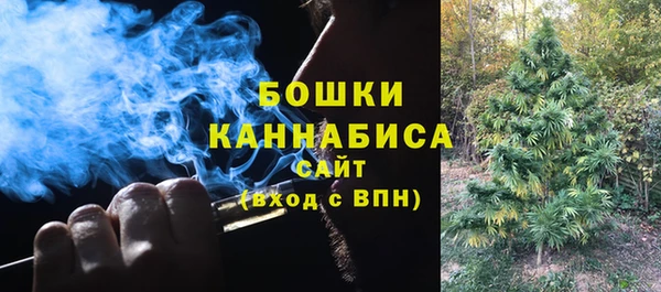 apvp Белокуриха