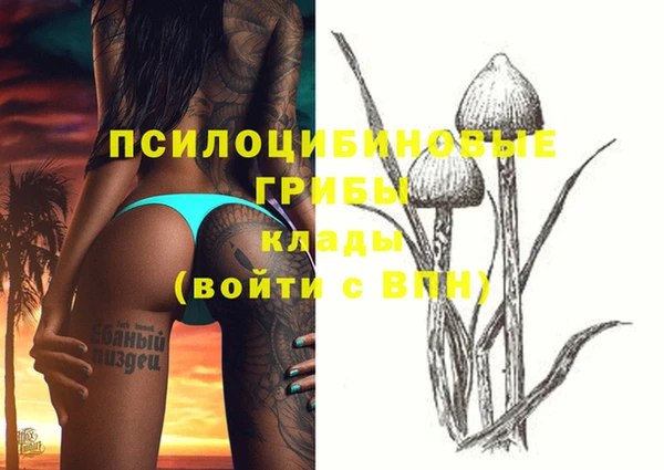 apvp Белоозёрский