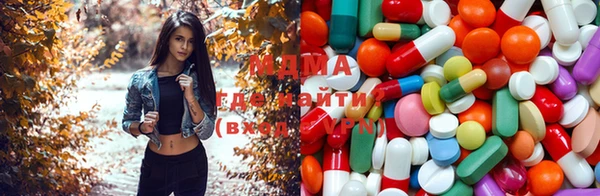 apvp Белокуриха