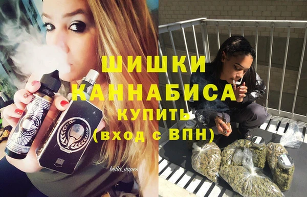 apvp Белокуриха