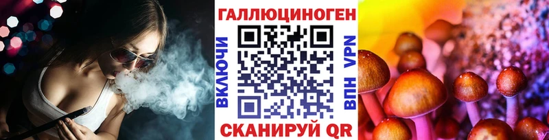 Псилоцибиновые грибы GOLDEN TEACHER  купить наркотик  Шилка 